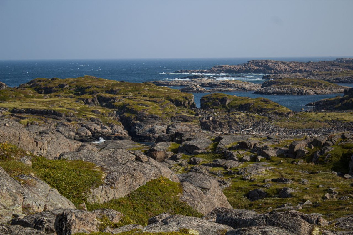 Живописные пейзажи, окружающие Дальние Зеленцы.