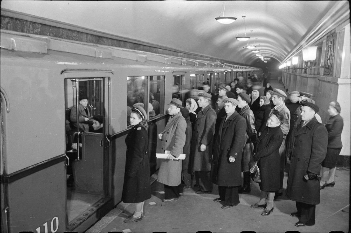 автор фото - В. П. Гребнев