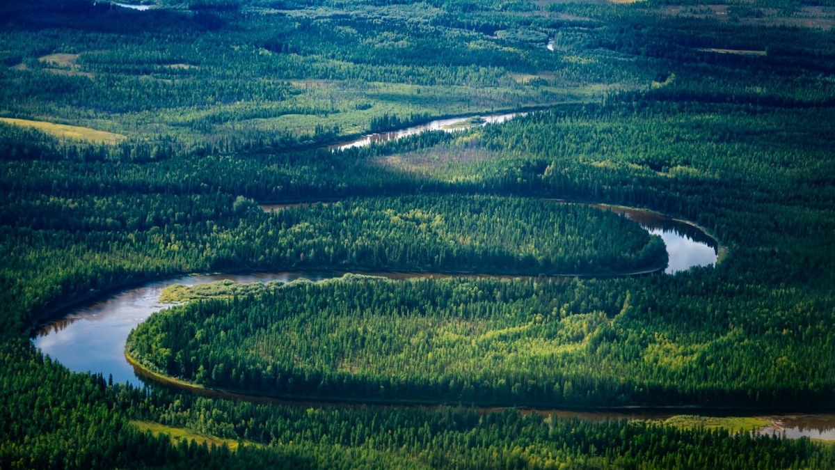    В Югре стартовал Международный водный форум