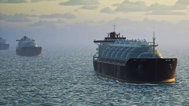 Фото из открытых источников.