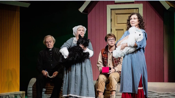    РАМТ представляет спектакль "Томасина" по сказке Пола Гэллико Андрей Соколов