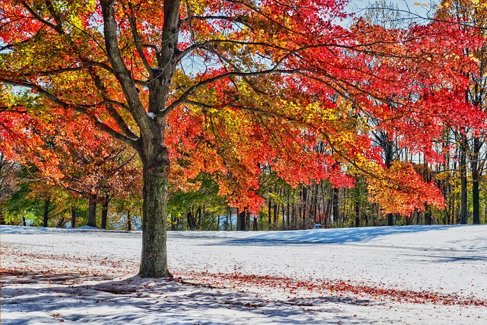 Фото из сети