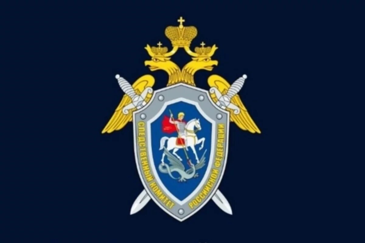    Жительницу Калужской области поместили в псих. стационар после убийства