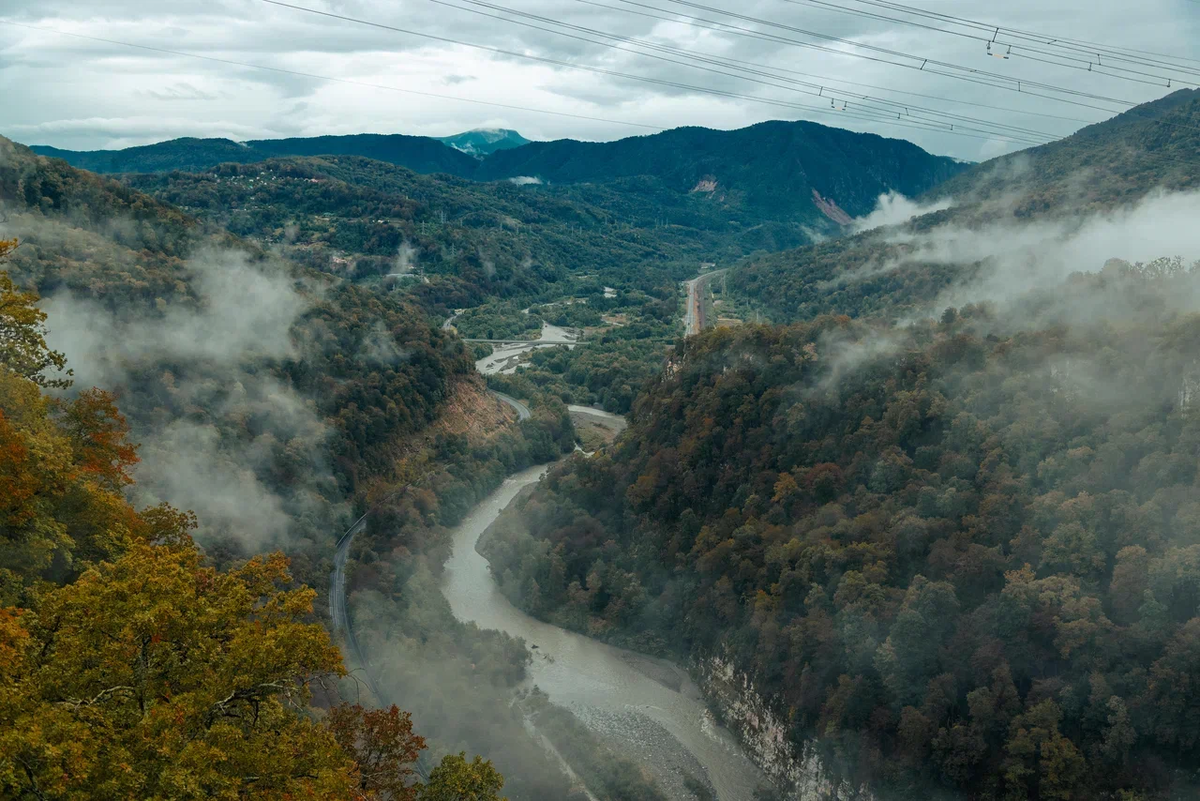 Добавьте описание