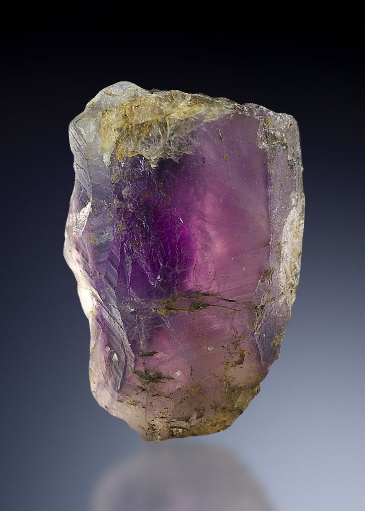 Хамелеон гакманит