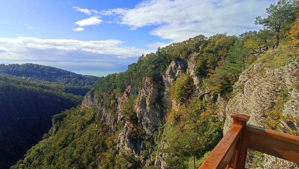    Фото: Telegram/Сочинский национальный парк