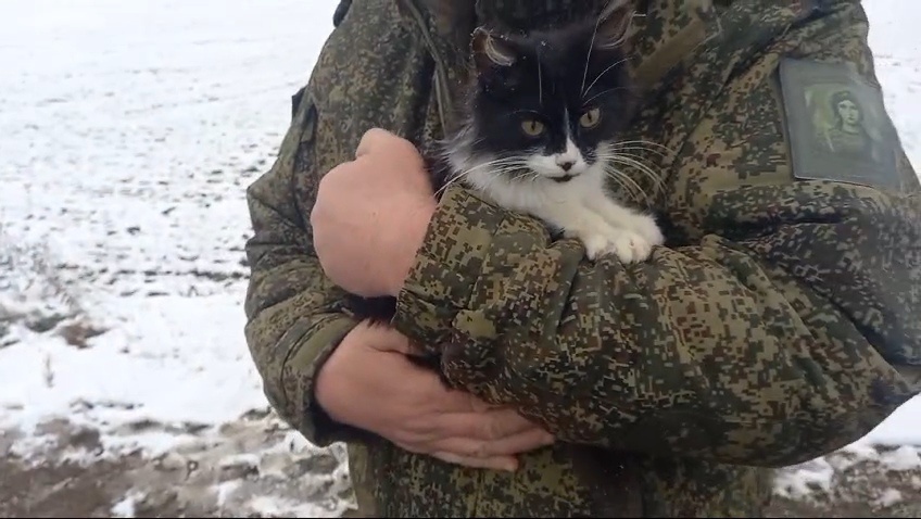Брошенный всеми котёнок, на руках у солдата 