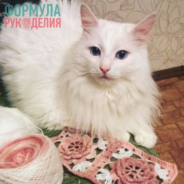 Мастер-класс "Ажурные лепестки"