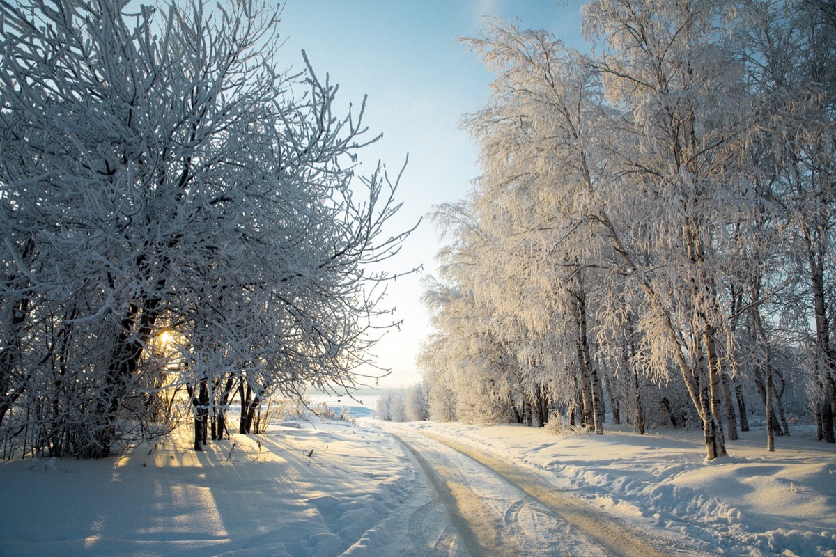    Все муниципалитеты Югры подтвердили готовность к зиме