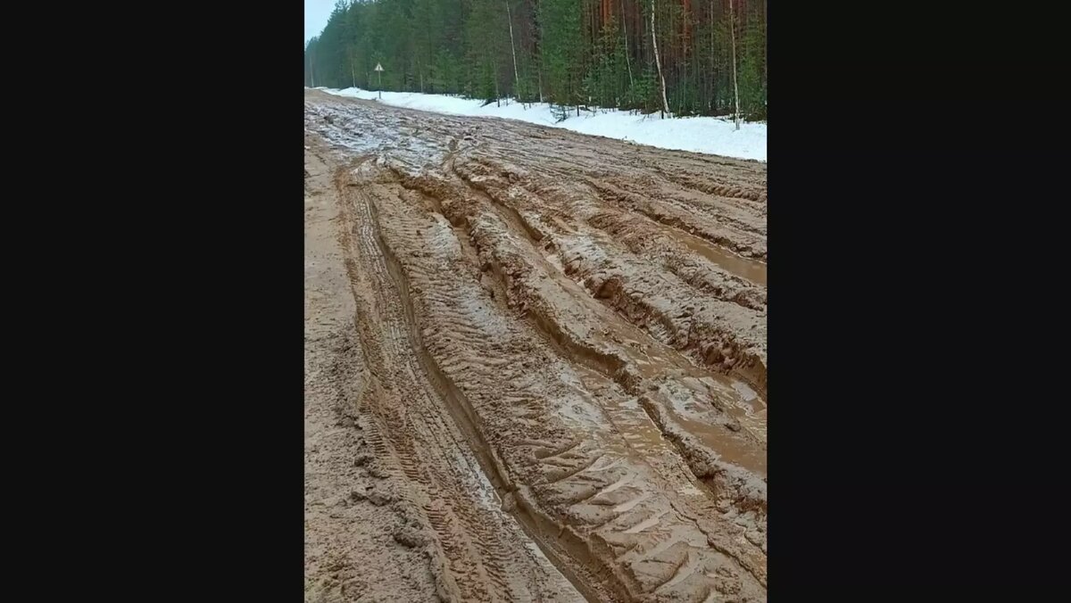     Источник: КАРЕЛФОРНИЯ NEWS | Петрозаводск и Карелия / vk