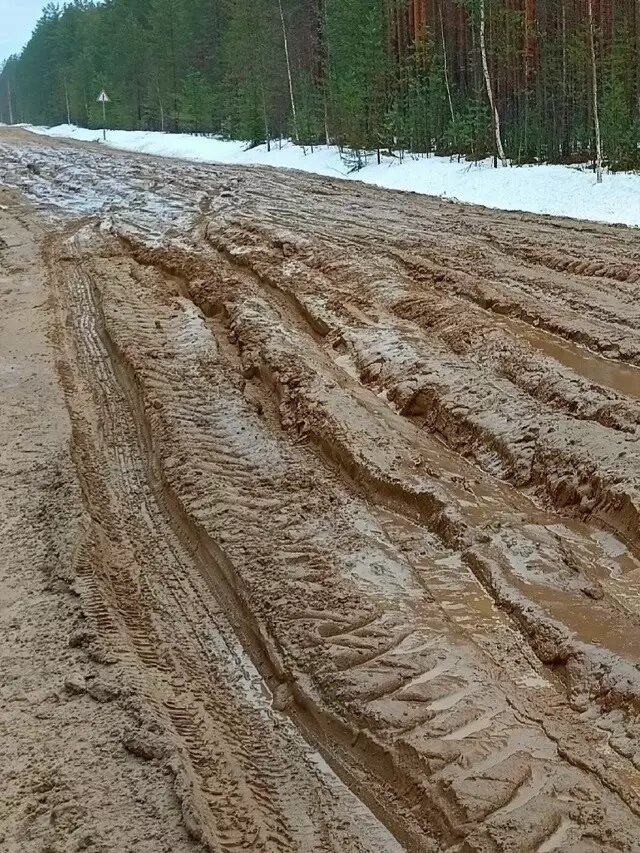     Источник: КАРЕЛФОРНИЯ NEWS | Петрозаводск и Карелия / vk