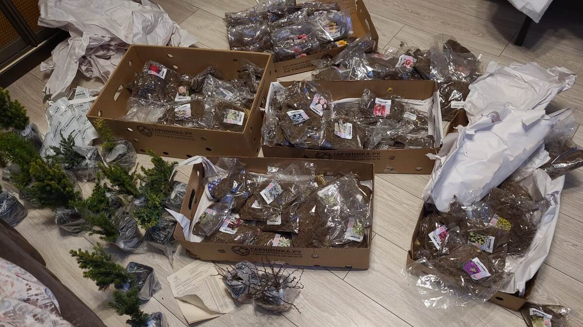 Разбор посылок от Гаршинки