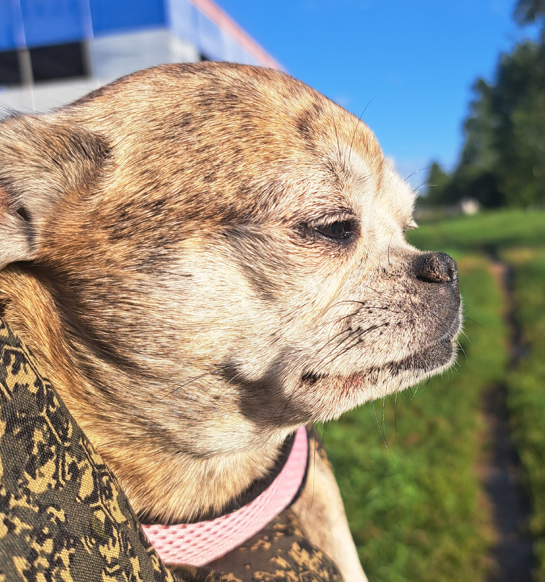 фото из личного архива