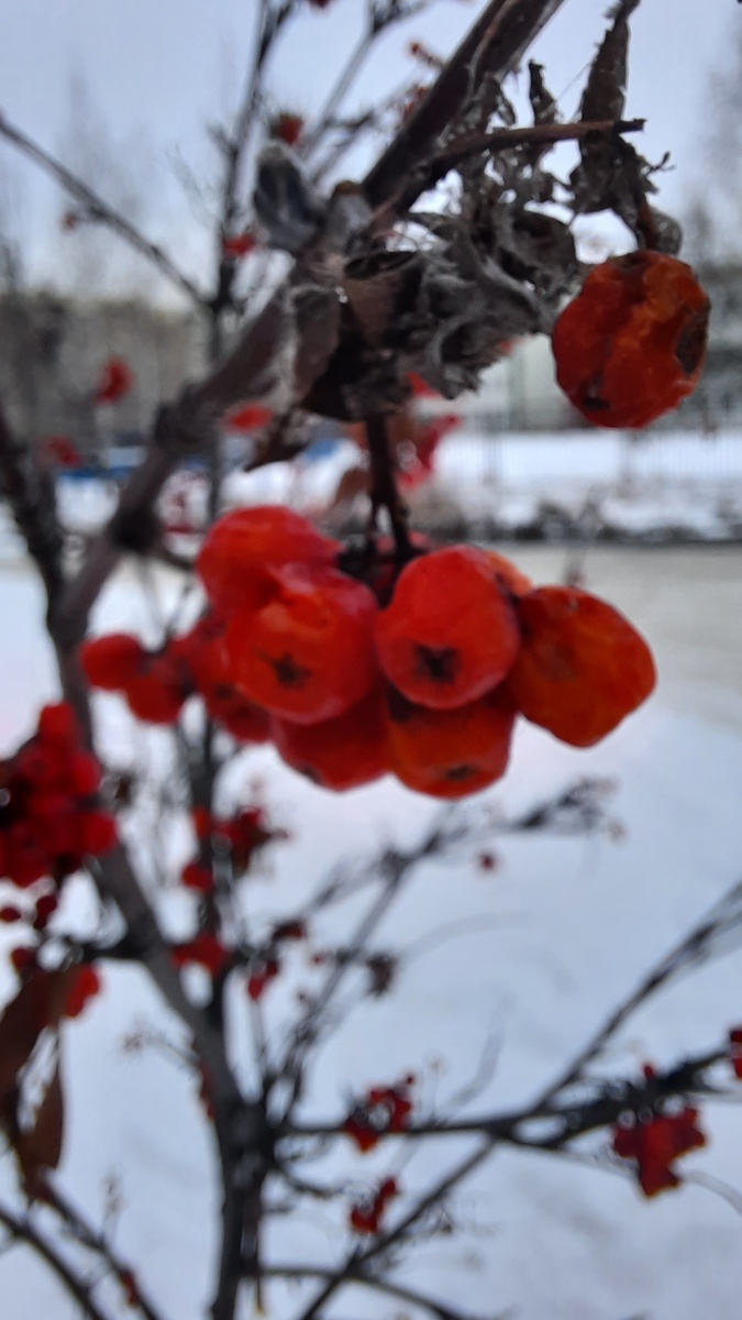  Дальше пойдёшь одна
