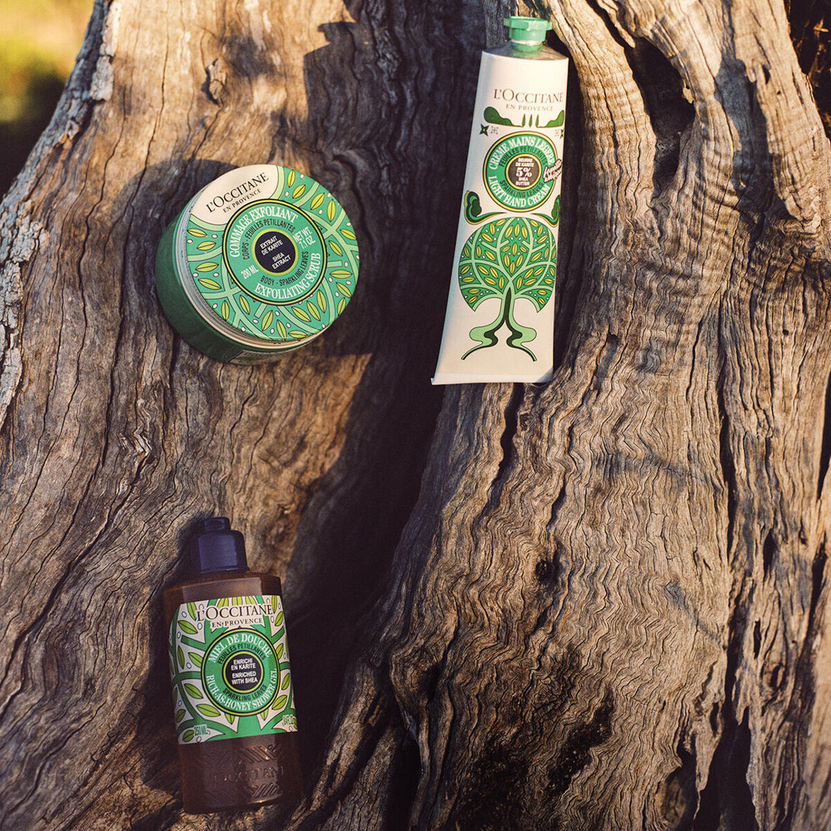     предоставлено Пресс-службой