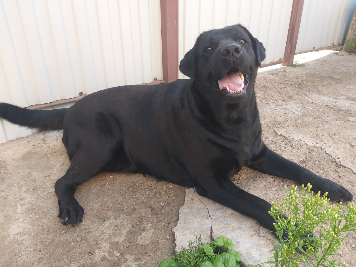 "Счастливые" килограммы