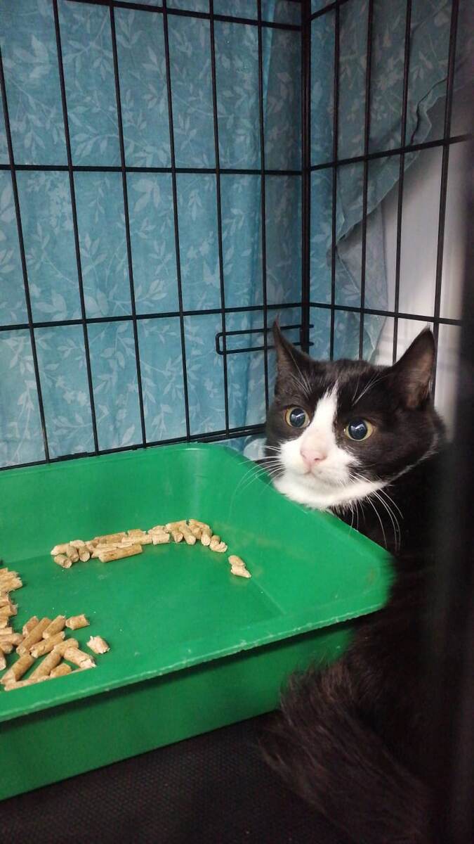 Елизавета, первый день в клинике.