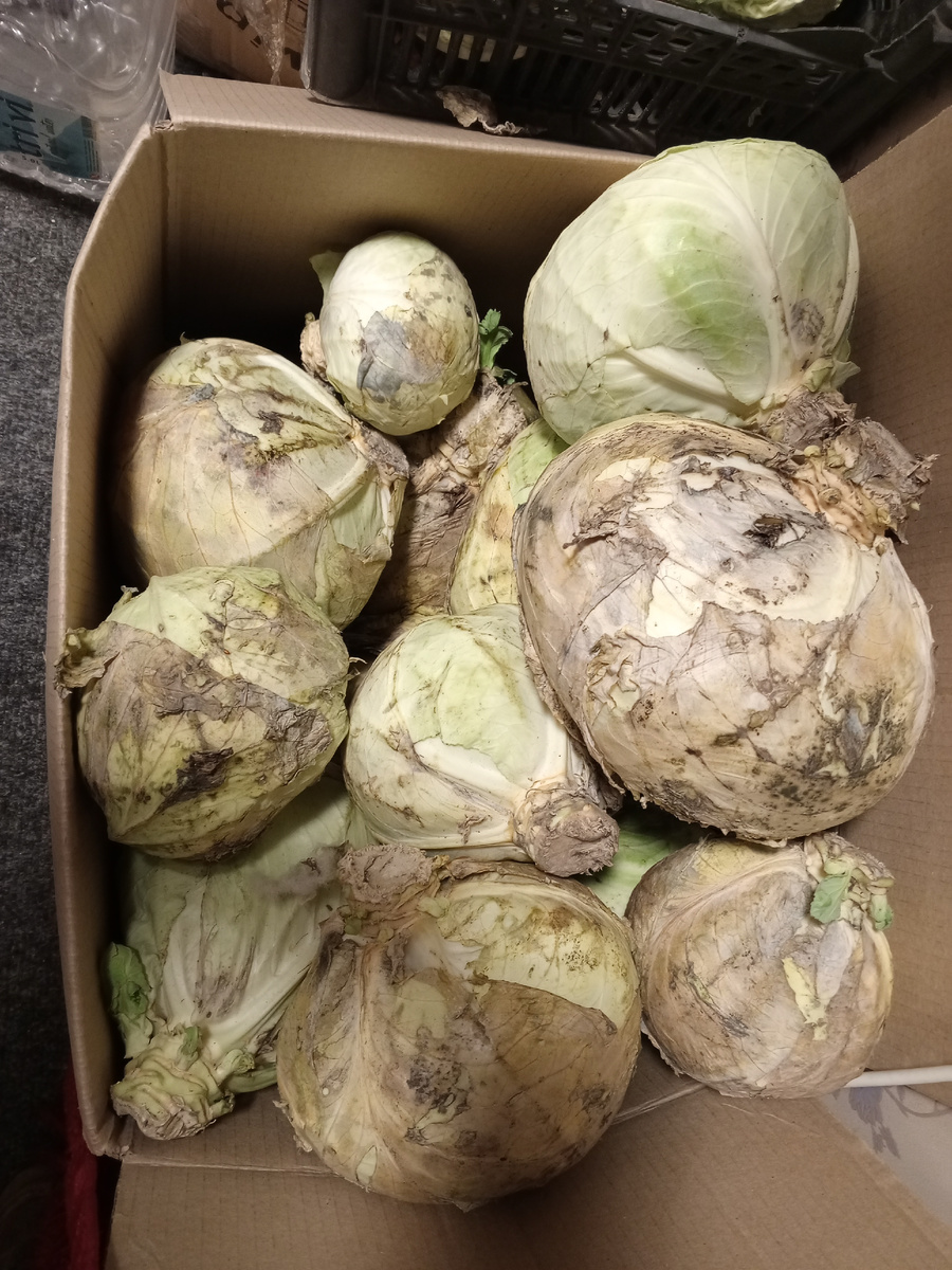 Остатки не сладки. В остатке 3 коробки. Продолжения не будет?.- Нет. Будут блины и винегрет с капустой