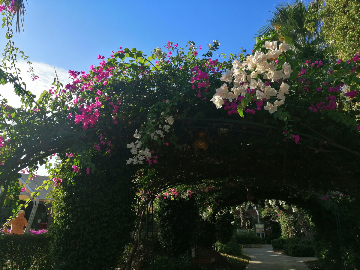 Территория отеля