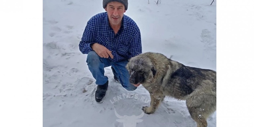 Забайкалец приютил пса "Хатико" неделями ожидавшего своего хозяина