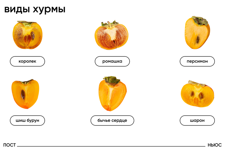 Хурма почему белая. Королек и хурма отличие польза и вред.