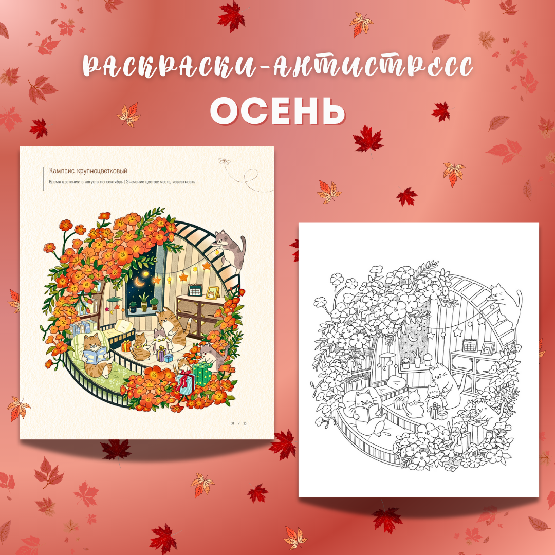 «Осенним днём в Корее», 6+ 