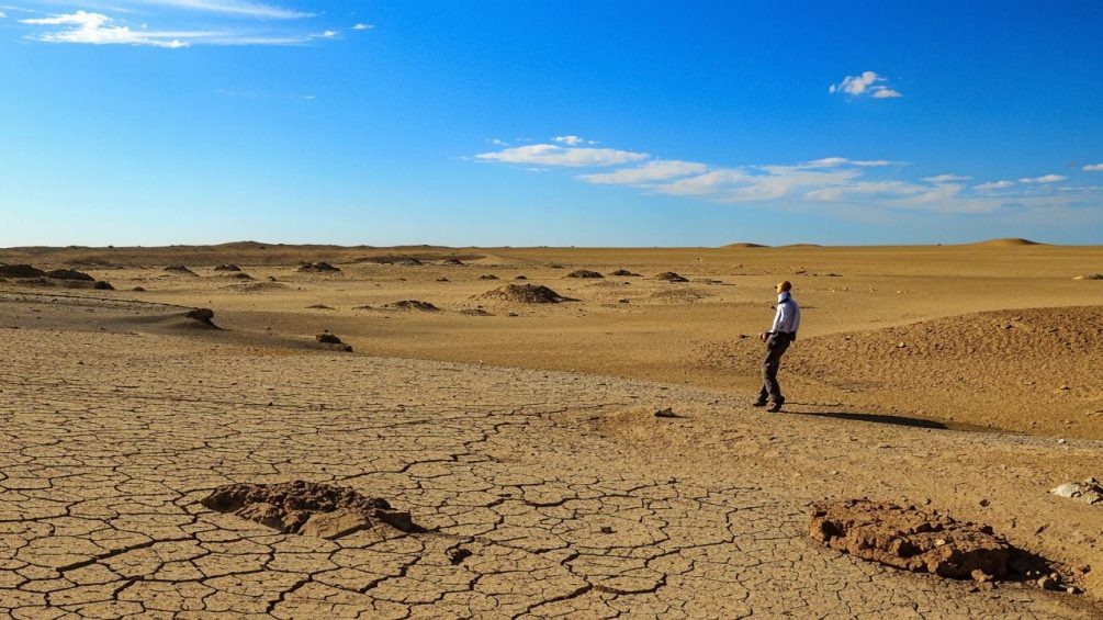   Иллюстрация: "Блокнот".