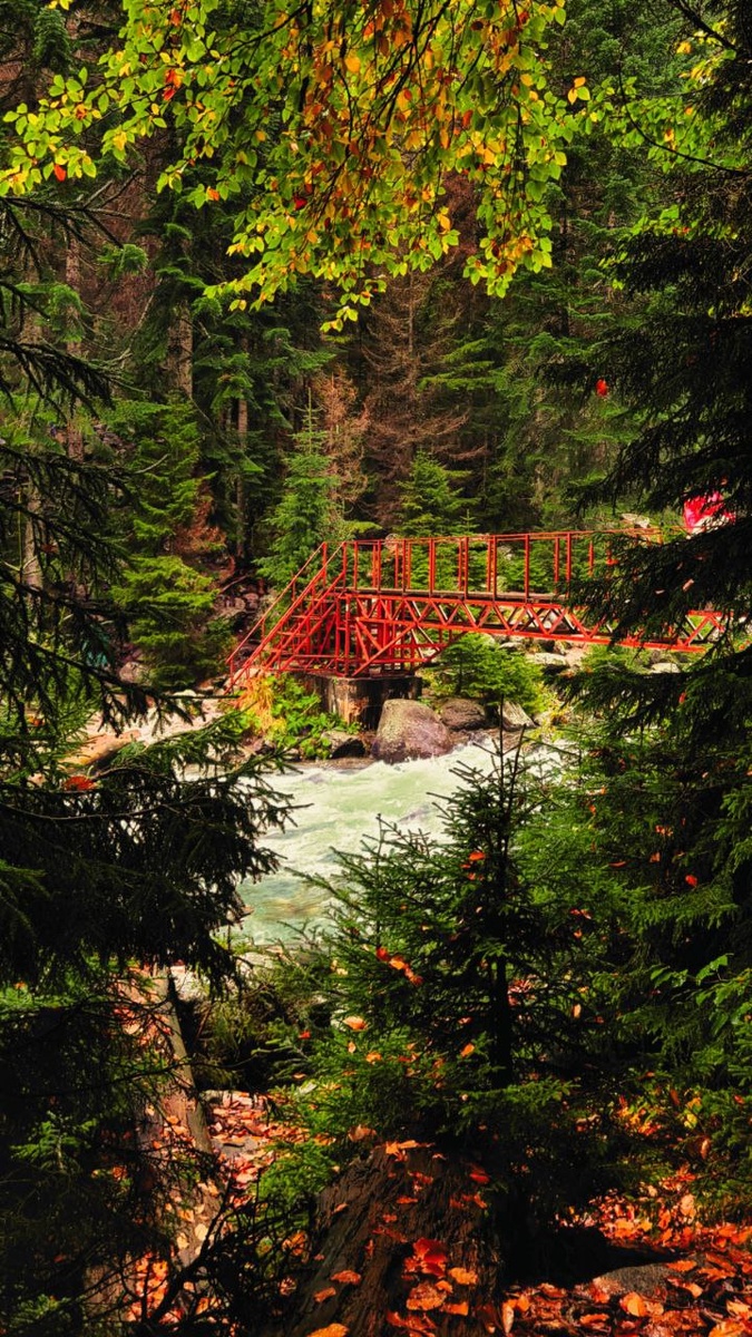 Популярный мостик для любителей фото на половине маршрута