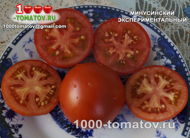Томат Минусинский Экспериментальный 1