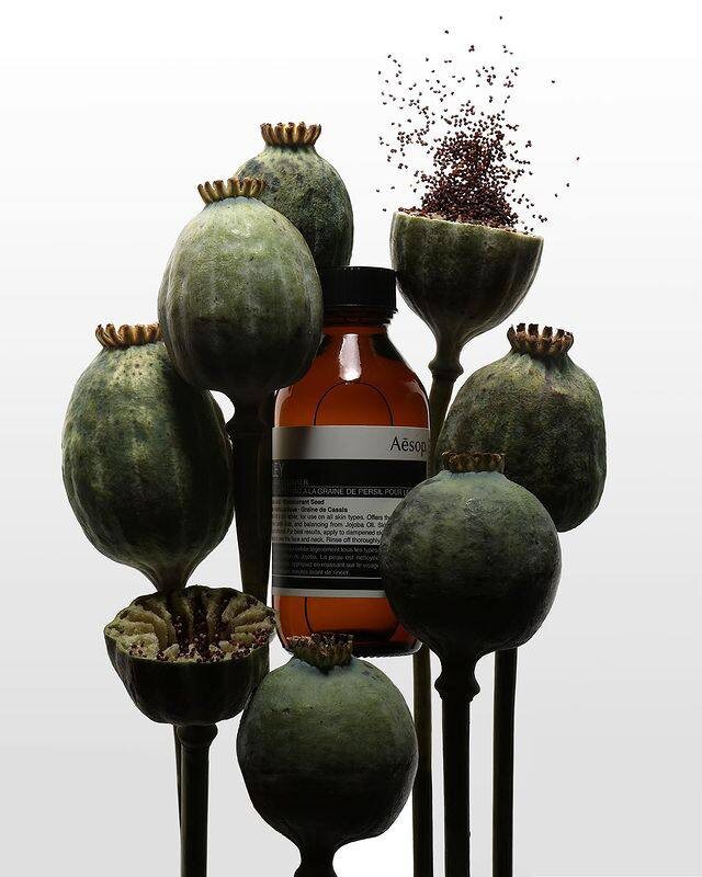     @davidnewtonphotography