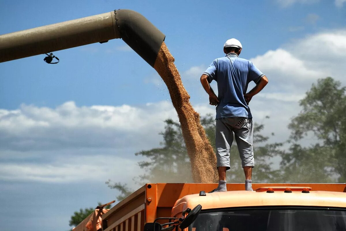 © Sputnik / Константин Михальчевский