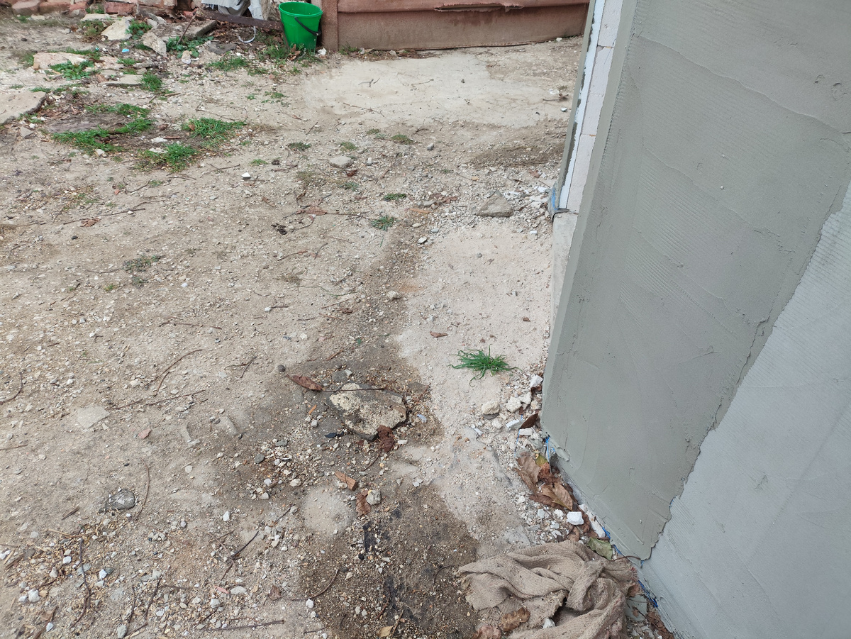 Следы ночного дождика. Только под сливами, остальная земля сухая совсем.