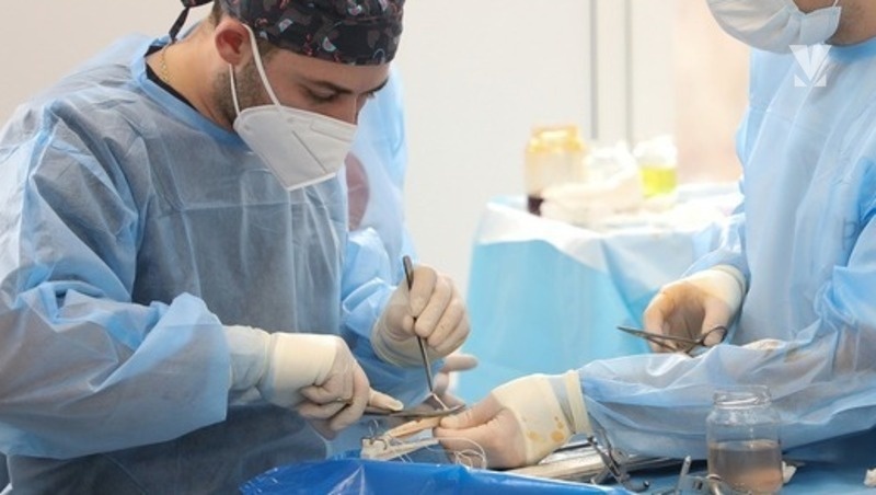      Фото: ИА «Победа26»