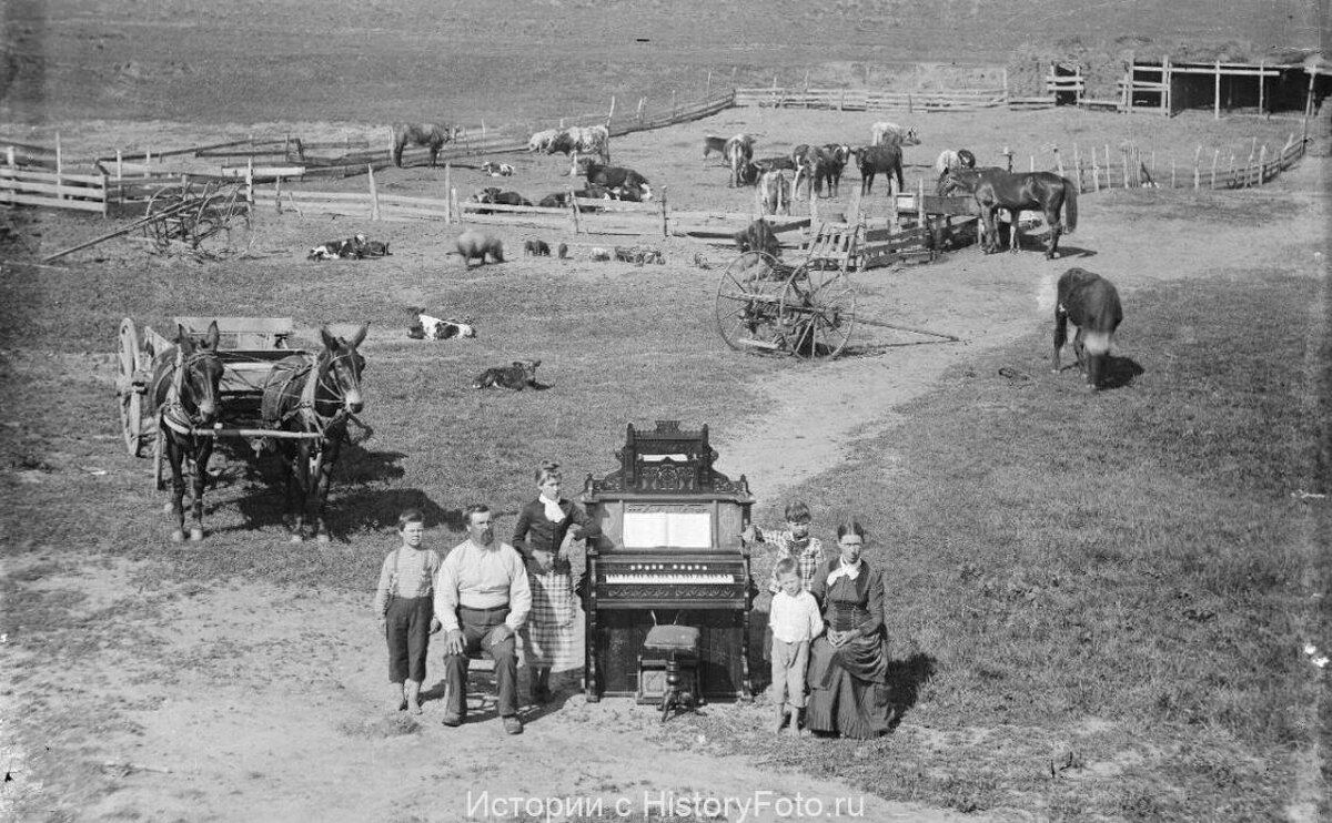 Эта семья поселенцев считалась в США богатой по сравнению с большинством других. Дэвид Хилтон с женой и детьми решили сделать семейное фото, но так как их убогий дом был совсем неказист, а показать достаток семьи очень хотелось, то они просто решили сделать фото на фоне всего своего домашнего скота и повозок, а заодно, и похвастаться самой дорогой семейной реликвией – органом. Вайссерт, округ Кастер, Небраска, США, 1887 год.
В середине XIX века в США начался масштабный переезд на свободные земли Среднего Запада, Великих равнин и Тихоокеанского побережья, получивший название гомстедское движение.
Гомстед-​акт — федеральный закон, принятый 20 мая 1862 года в США, разрешивший передачу в собственность гражданам США незанятых земель на западе страны за небольшую плату. Название закона образовано от понятия гомстед (homestead — фермерский участок-​усадьба, земельный надел из фонда свободных земель на Западе США).
