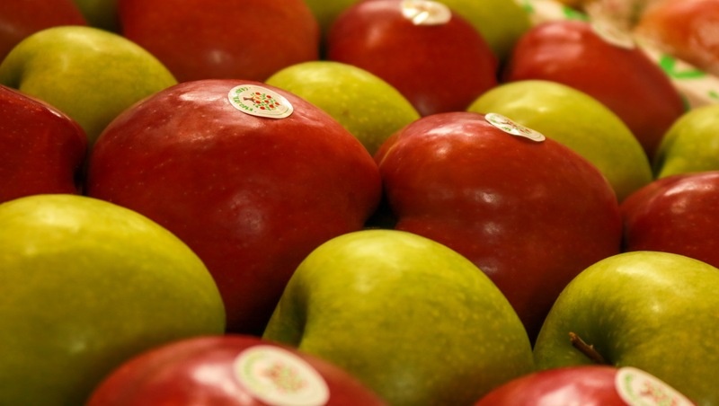      Фото: ИА «Победа26»