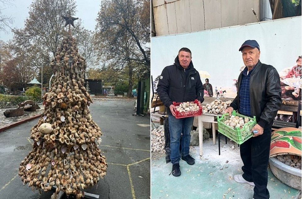    На создание елки ушло две тысячи раковин рапана. Фото: Николай Поммогалов