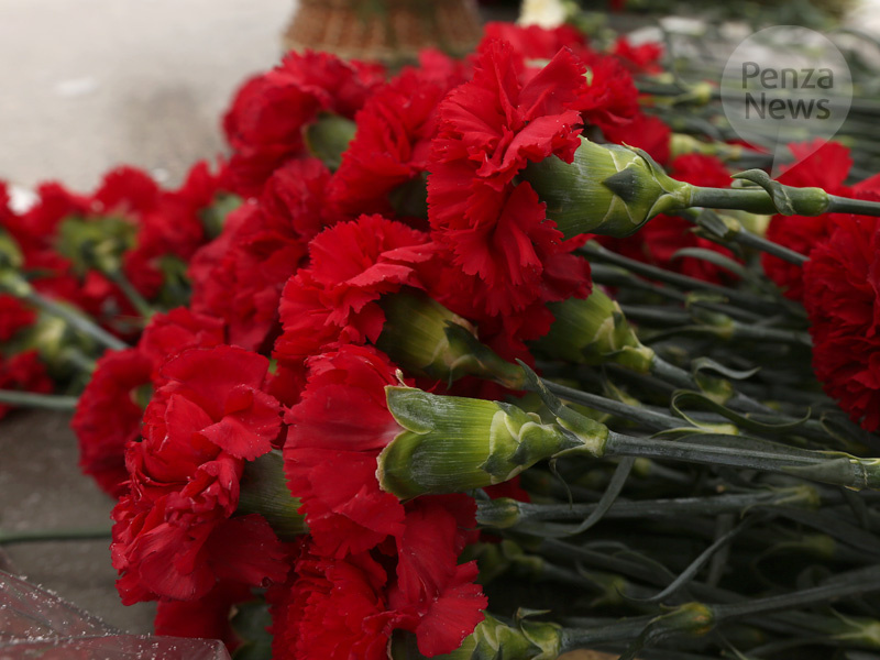    © Фото из архива ИА «PenzaNews»