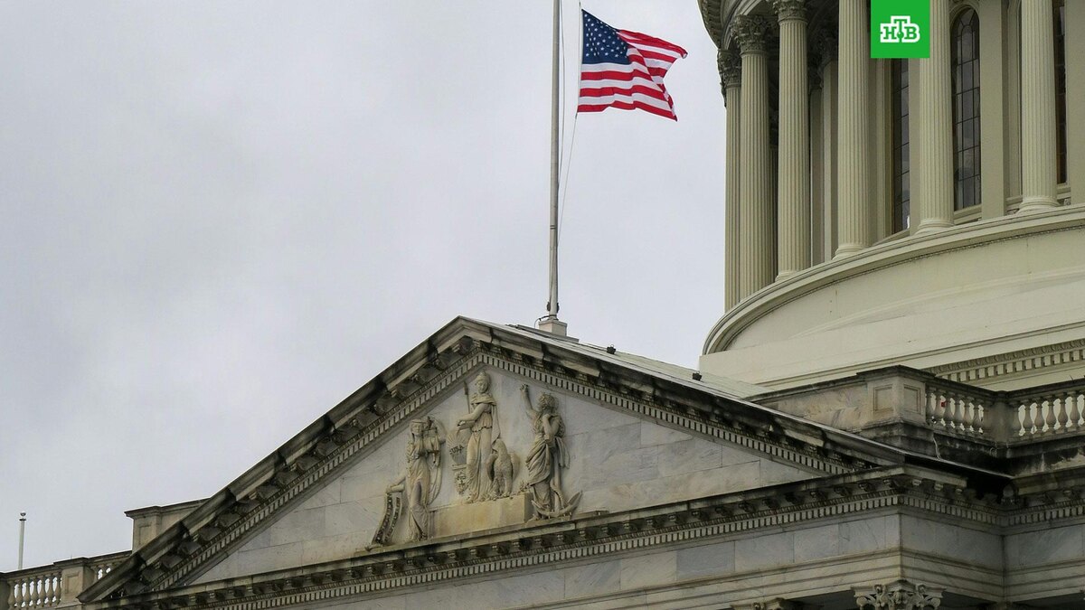    Фото: Pieter Pienaar / unsplash.com