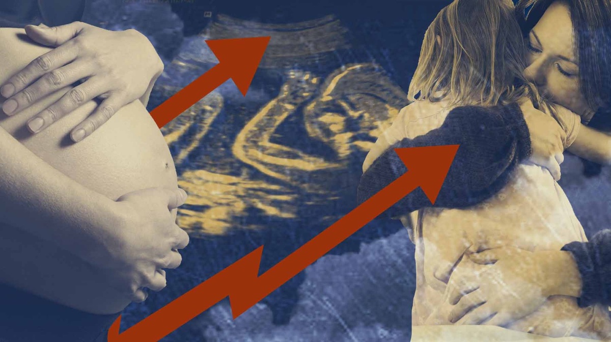    Коллаж: Daily Storm