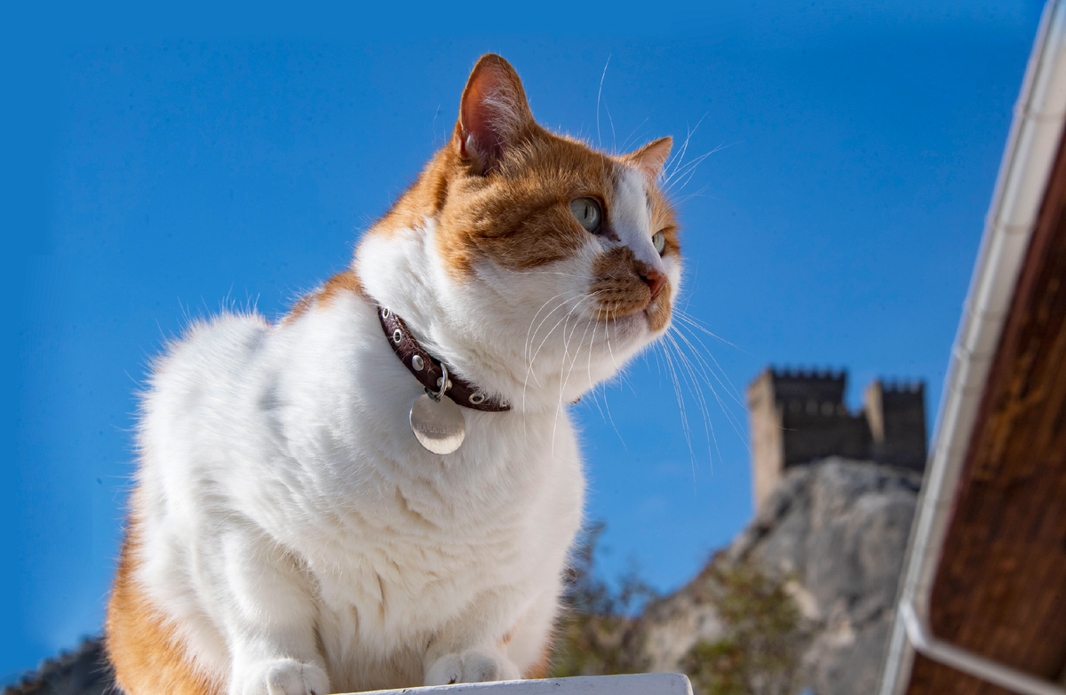 Виды шикарные, куда ни глянь.