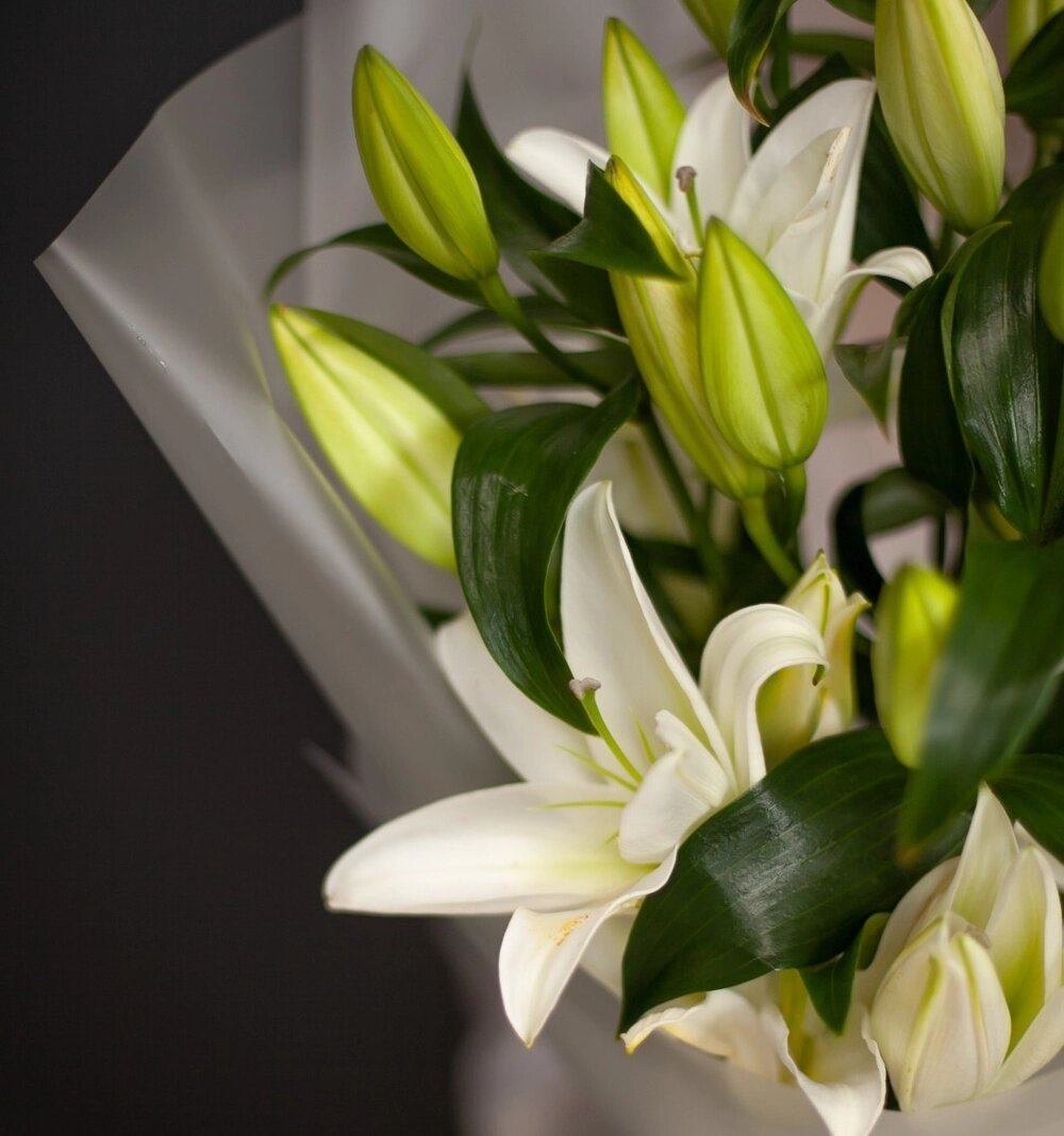 Доставка лилий в Москве - www.moscvetok.ru