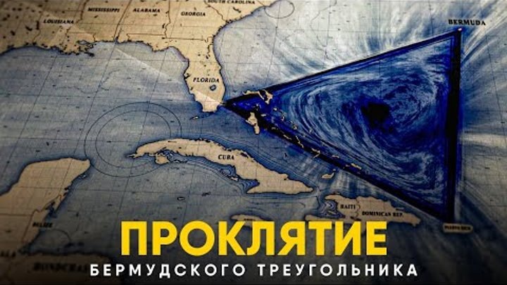 Яндекс картинки