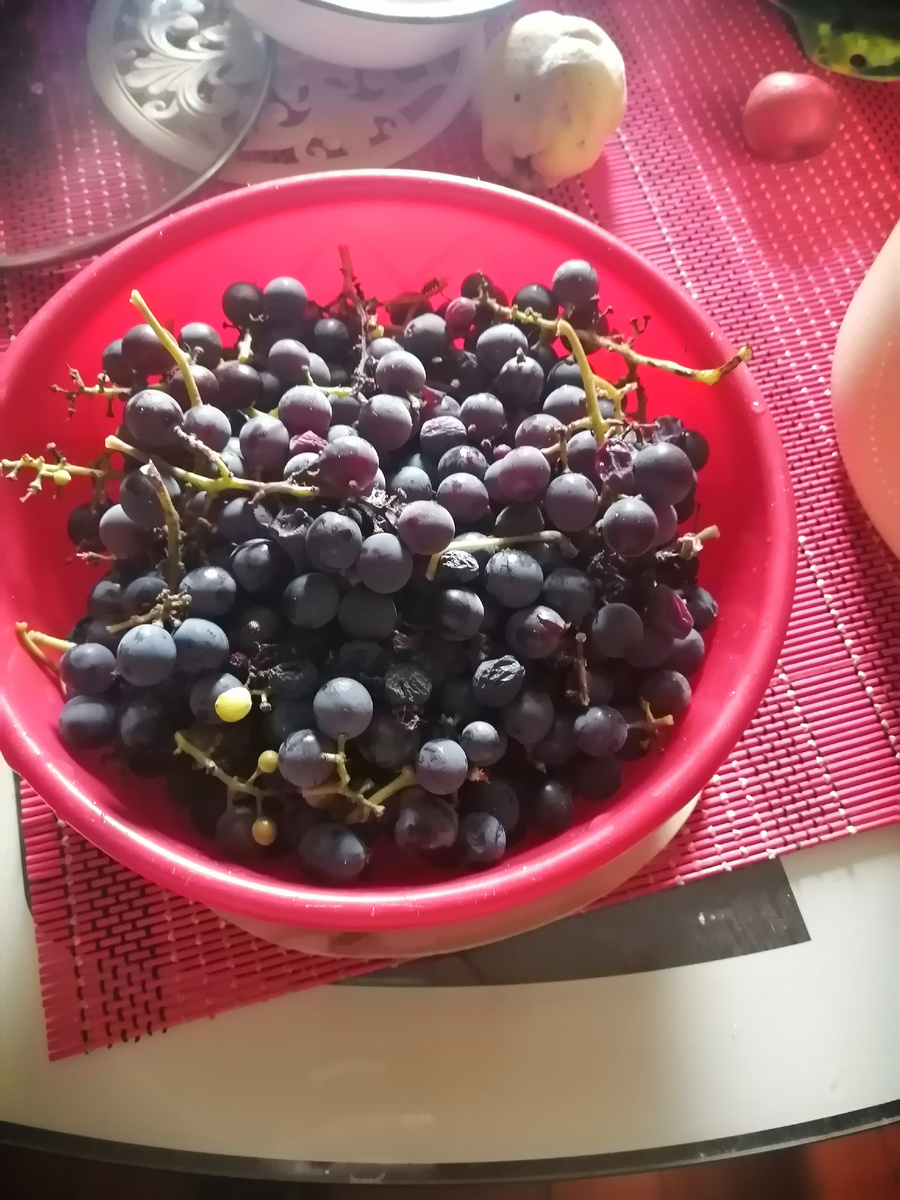 Остатки винограда.