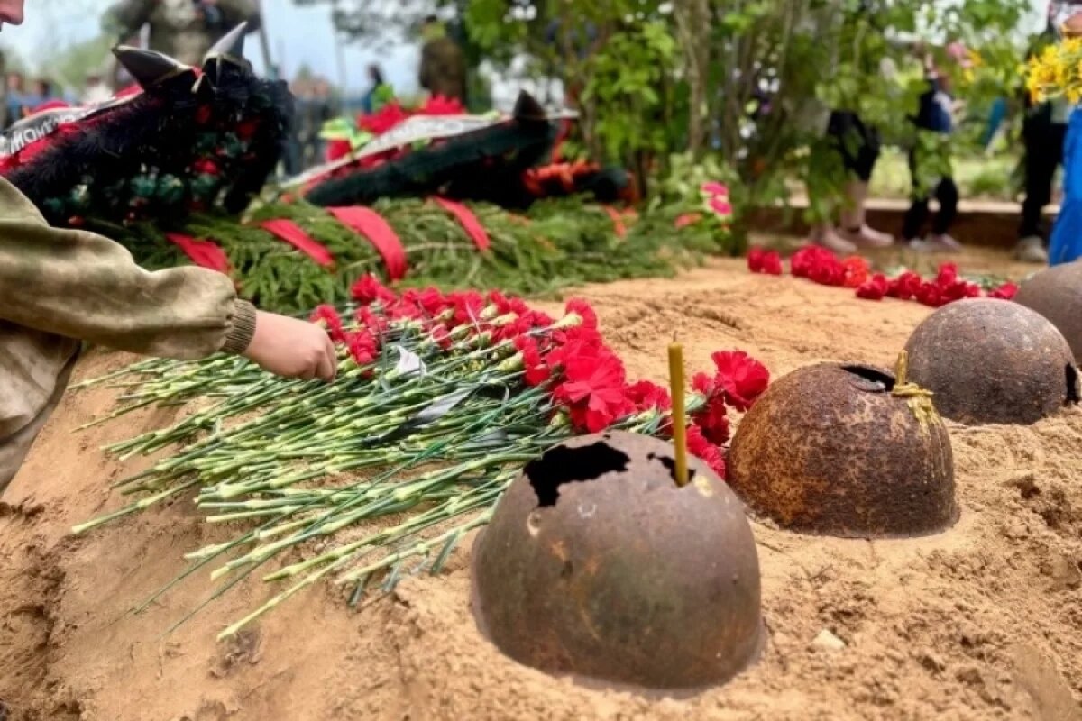    В Подмосковье захоронили останки около 400 воинов ВОВ с начала года