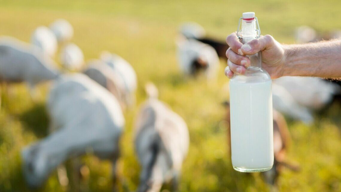 Фото: freepik / freepik.com.