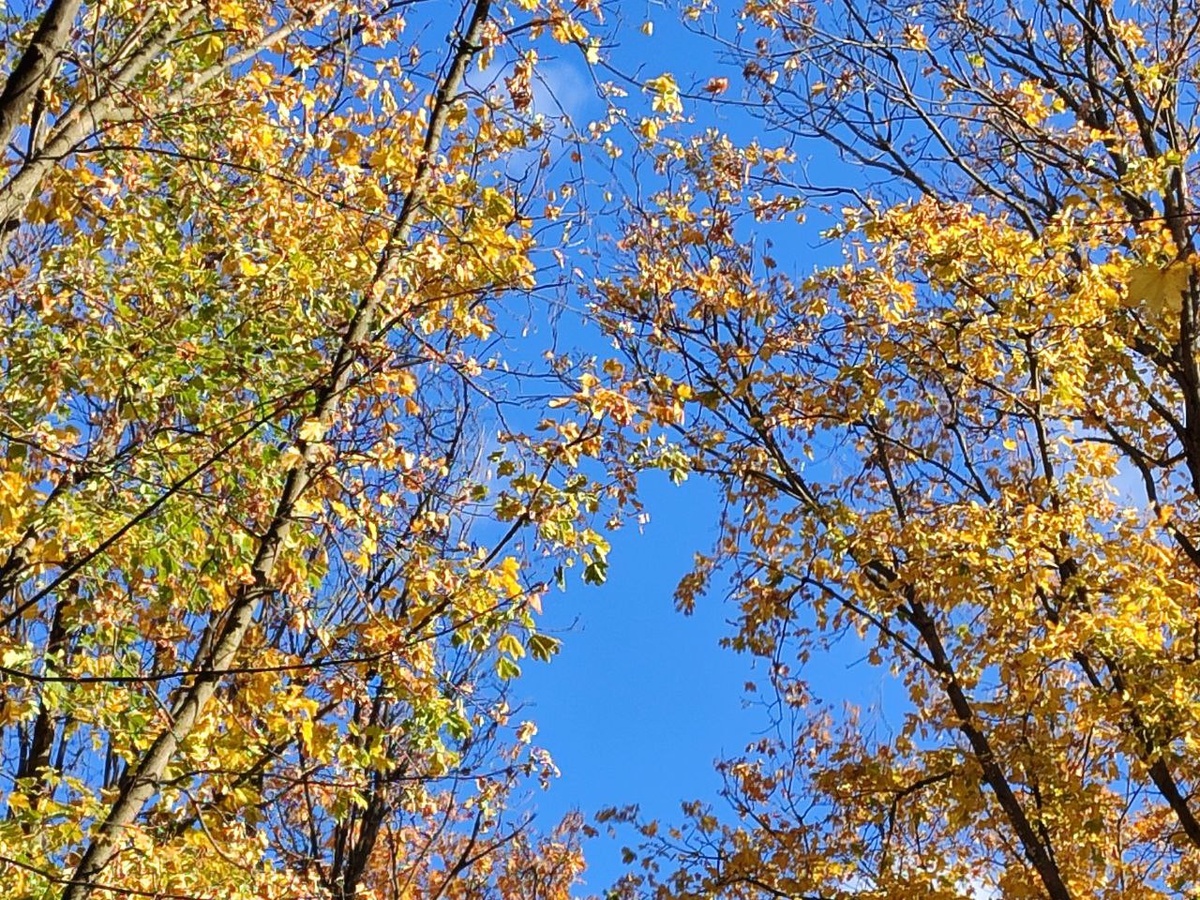 Это самое начало ноября