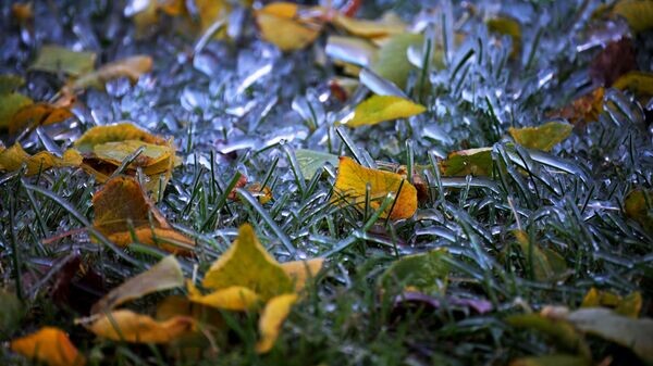    © РИА Новости . Владимир Астапкович