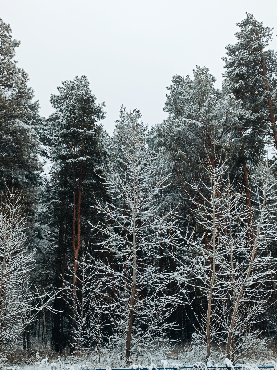 Красиво как в сказке