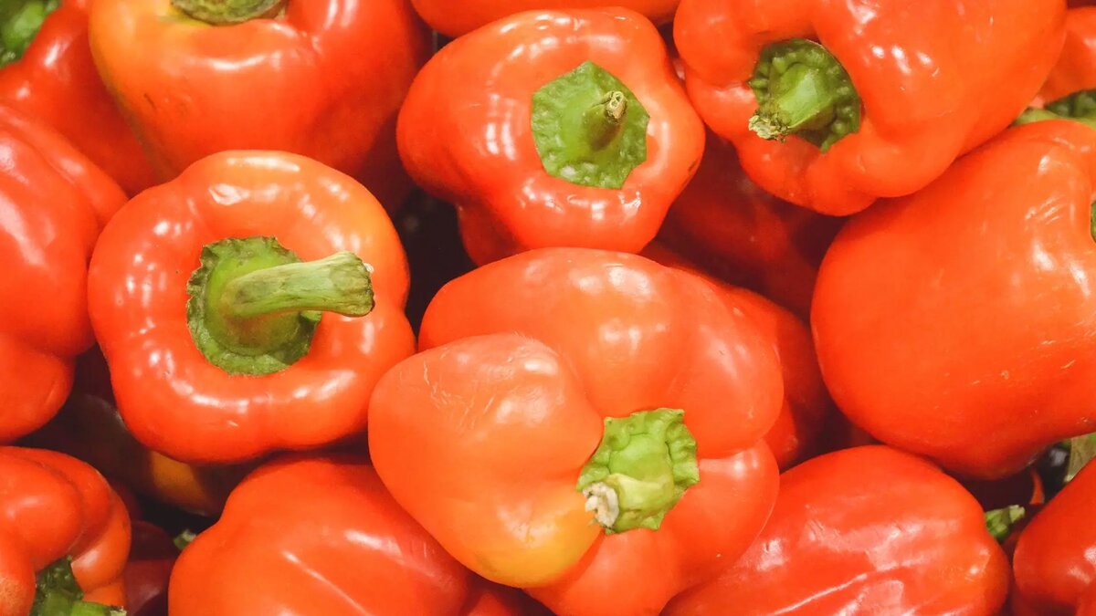     Источник: 1MI