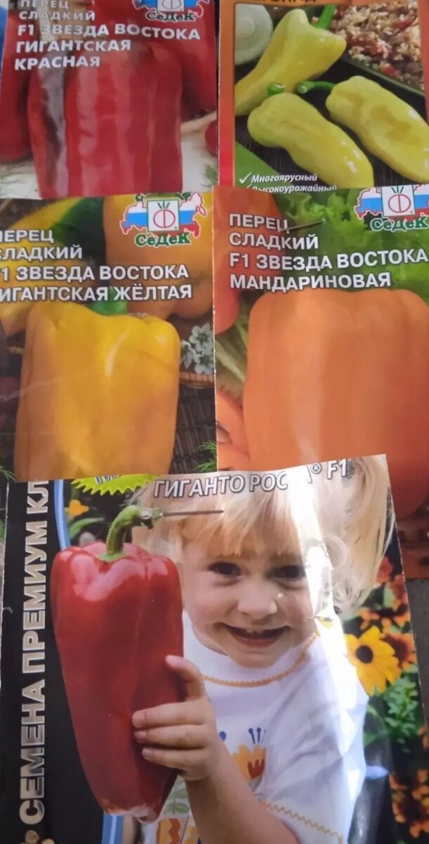     Автор: Нина Соловьева Источник: udm-info.ru